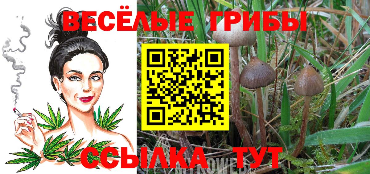 Галлюциногенные грибы Psilocybe  Вход с VPN  Костомукша  Псилоцибиновые грибы мицелий 